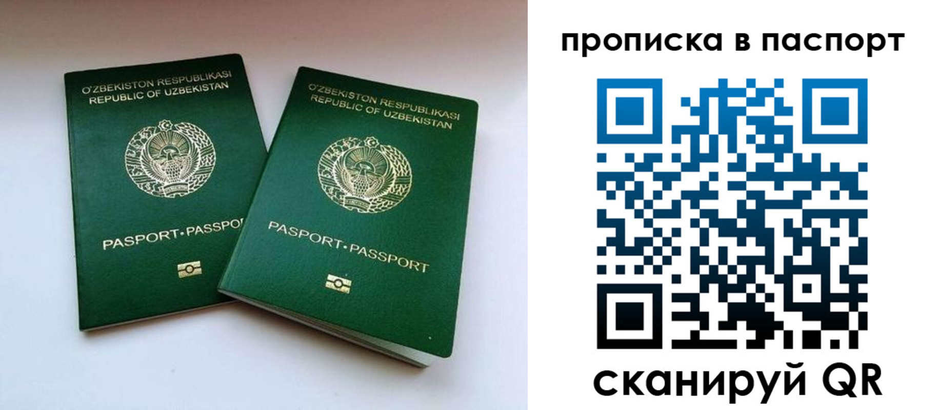 временная регистрация в Ершове